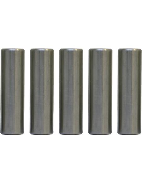 Šestan-Busch Counterweight