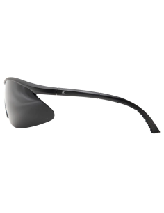 EDGE FastLink Ballistic Glasses