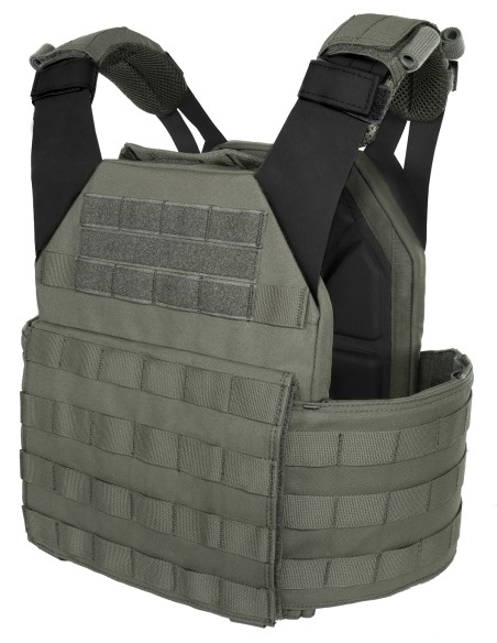Warrior Low Profile Plate Carrier V1 (multiple colours)