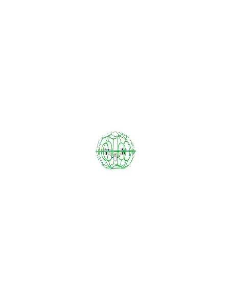 HGLRC B200 Soccer Drone