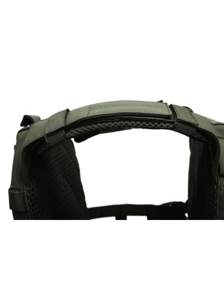 Warrior recon plate carrier (Multiple colours)