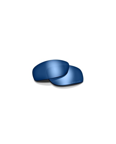 Wiley X WX Jakl - Replacement Lens (various colours)