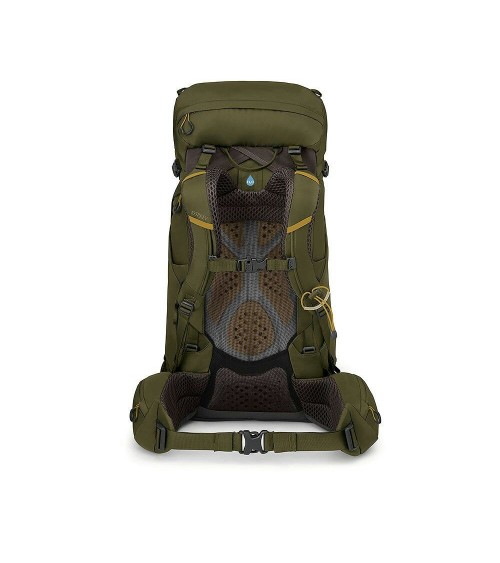 Osprey Kestrel 38 moss green L/XL