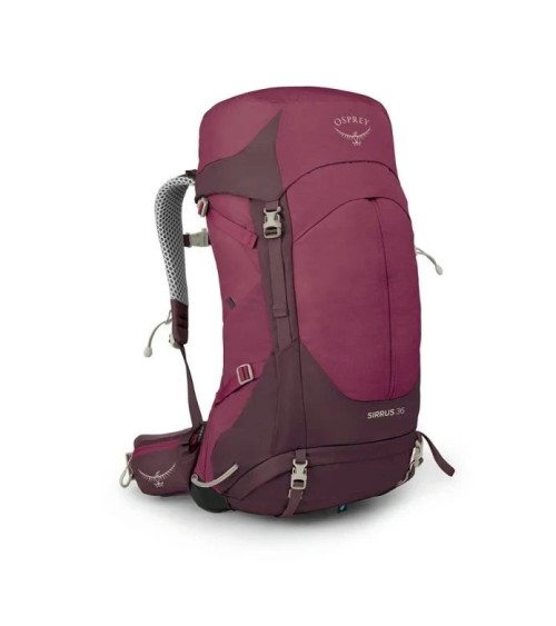 Osprey Sirrus 36 blueberry O/S