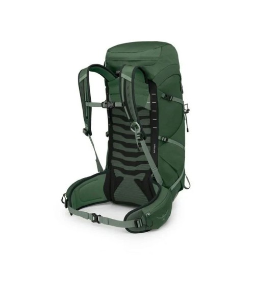 Osprey Talon 33 green canopy pine leaf OS