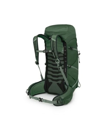 Osprey Talon 33 green canopy pine leaf OS