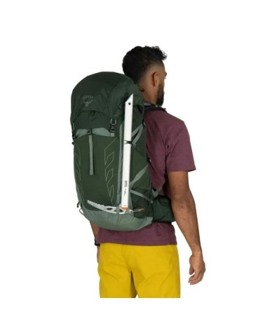 Osprey Talon 33 green canopy pine leaf OS