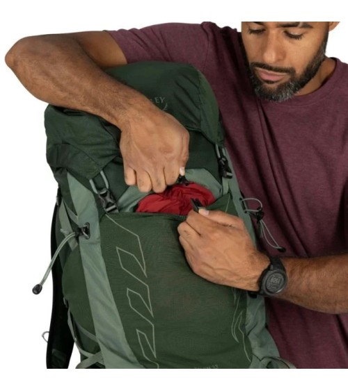 Osprey Talon 33 green canopy pine leaf OS