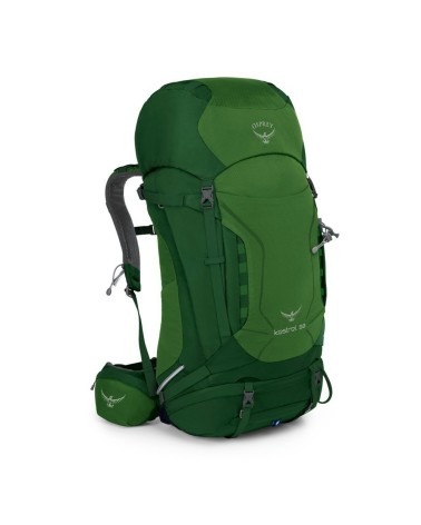 Osprey Kestrel 58 S/M jungle green 17