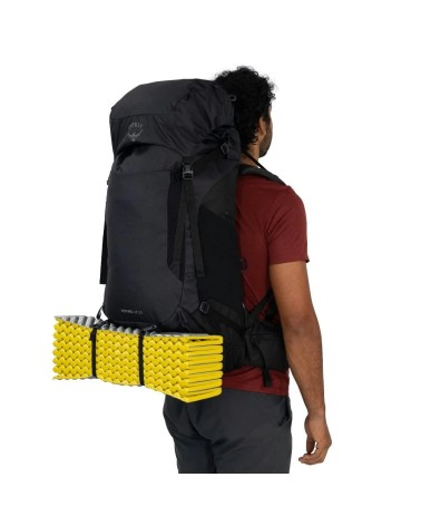 Osprey Kestrel LT 65 moss green OS