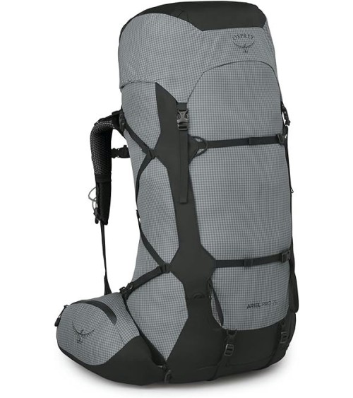 Osprey Ariel Pro 75 silver lining WM/L