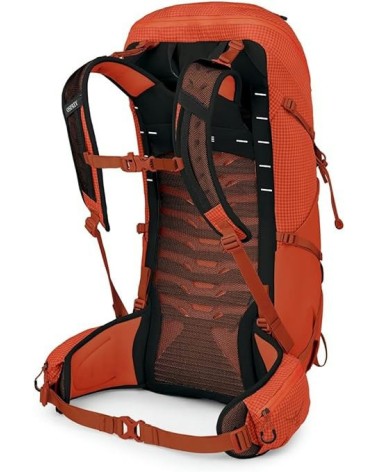 Osprey Talon Pro 30 silver lining O/S