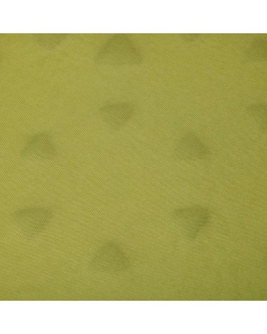 Sea to Summit Camp Mat Self Inflating Mat Regular green