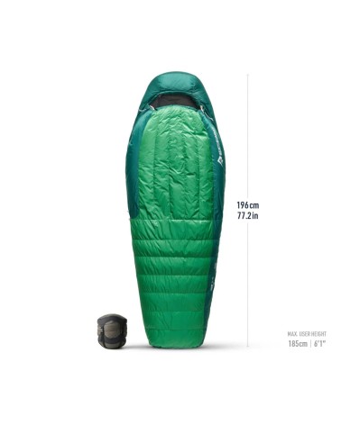 Sea to Summit Ascent -1C Down Sleeping Bag Regular rain forest green