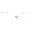 FPVDROON