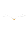 FPVDROON