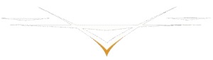 FPVDROON